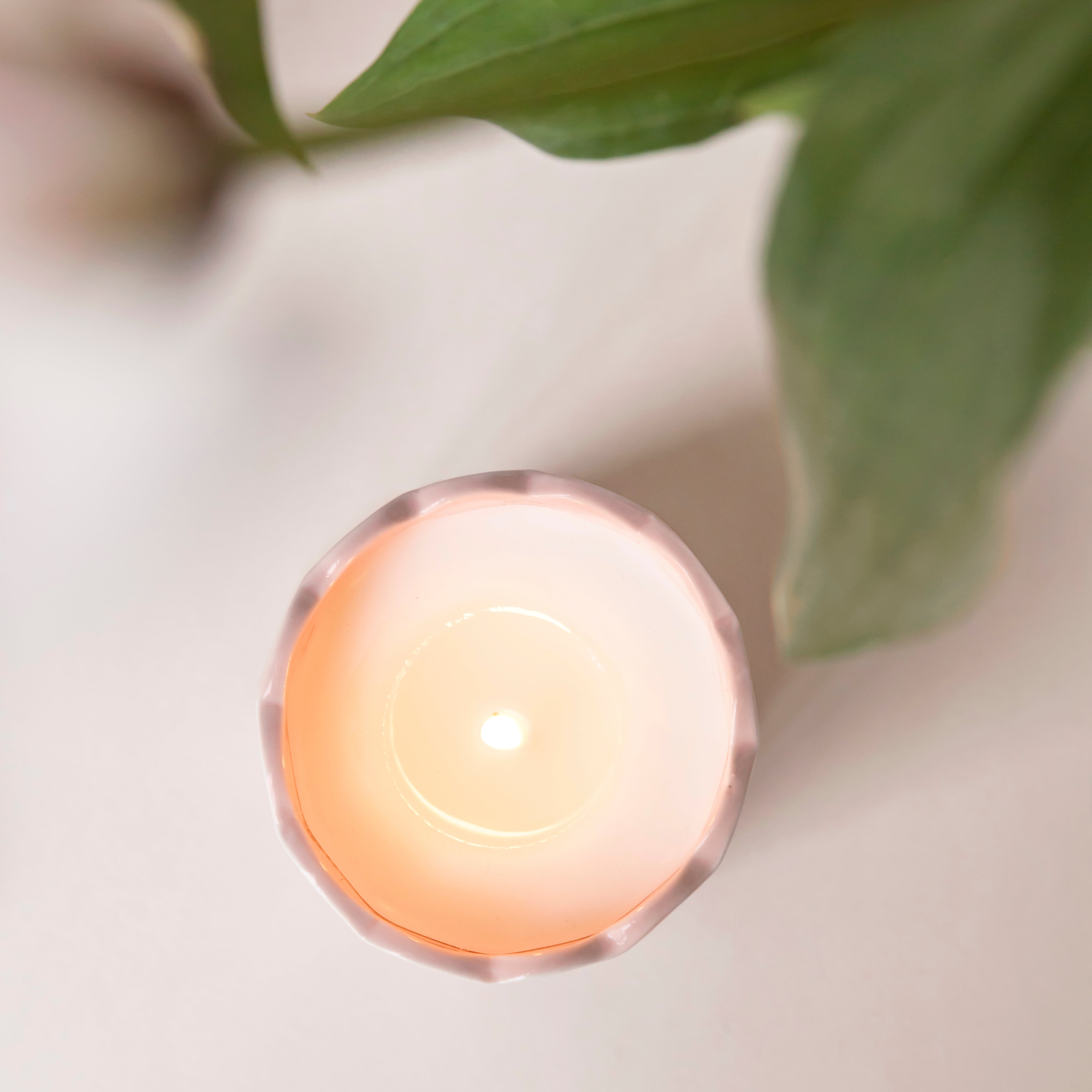 נר Portus-Cale Rose Blush NEW