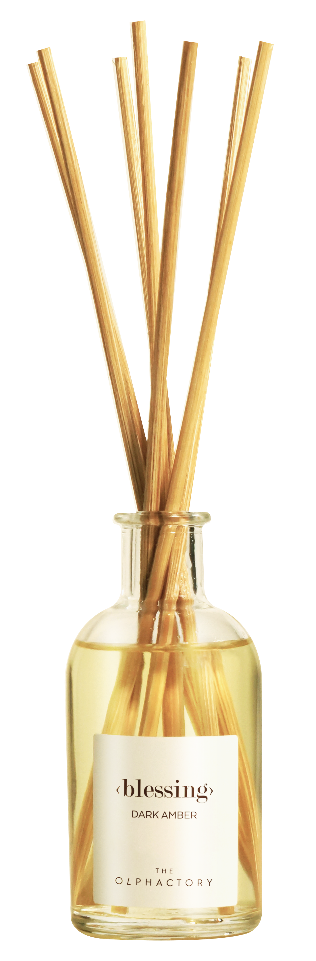 Diffuser 100ml Blessing The Olphactory