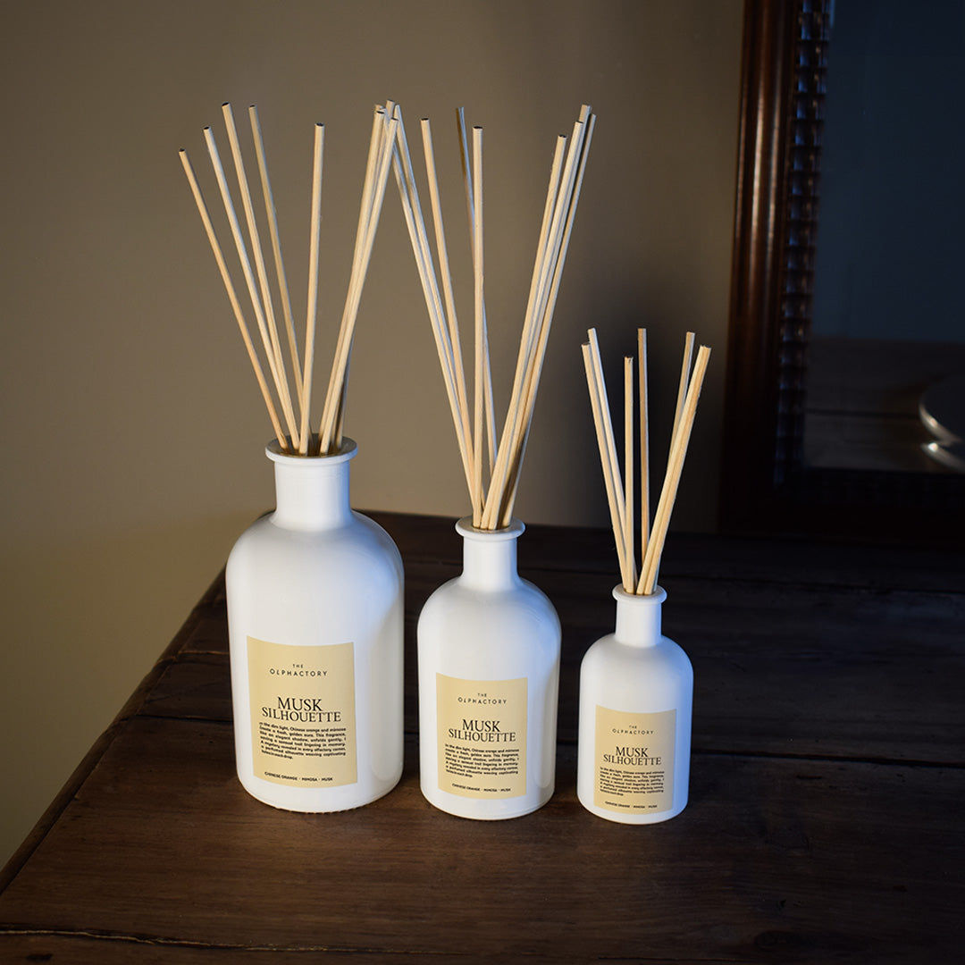 מפיצי ריח שלושה גדלים Musk Silhouette מבית האולפקטורי
