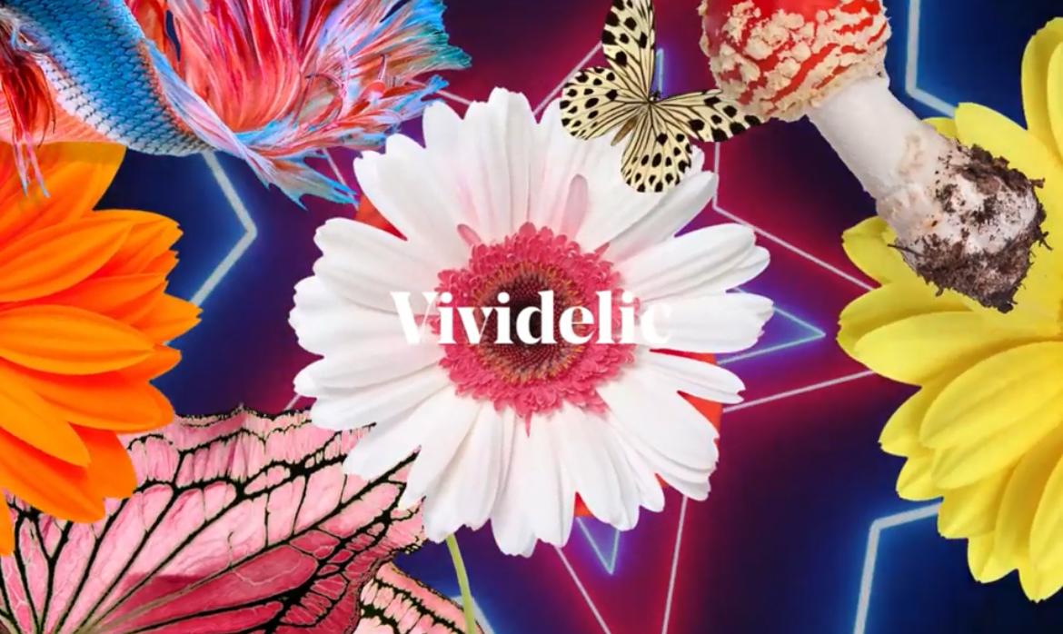 San Francisco Soap Company - Soap for Tomorrow - Vividelic
