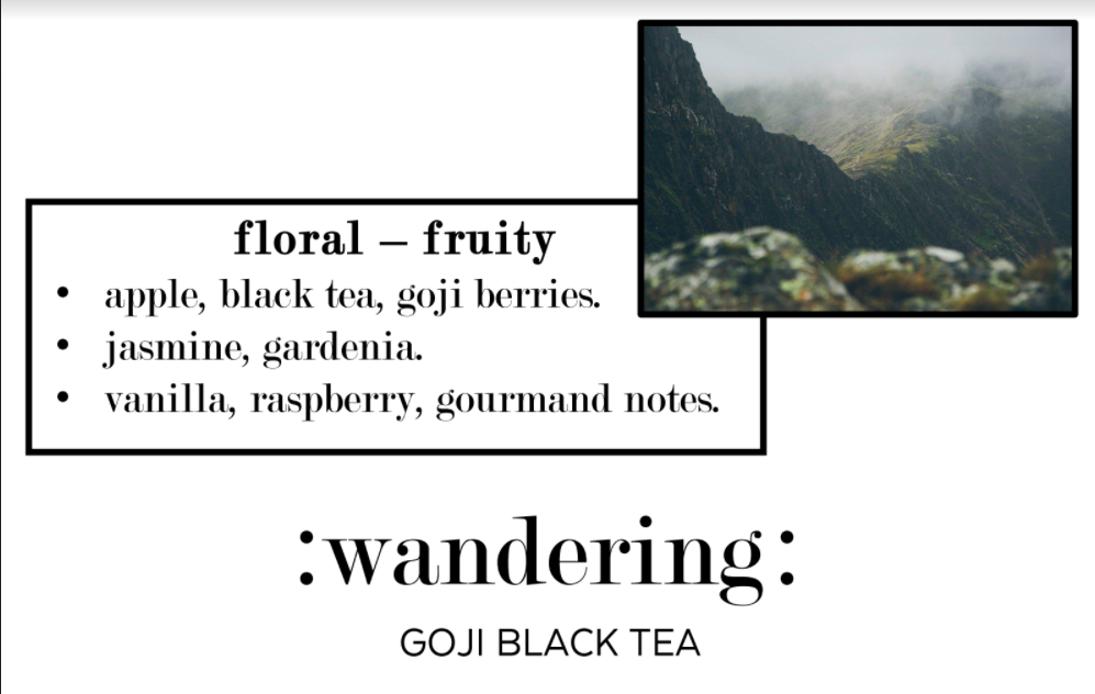 :Wandering: נר סויה THE OLPHACTORY