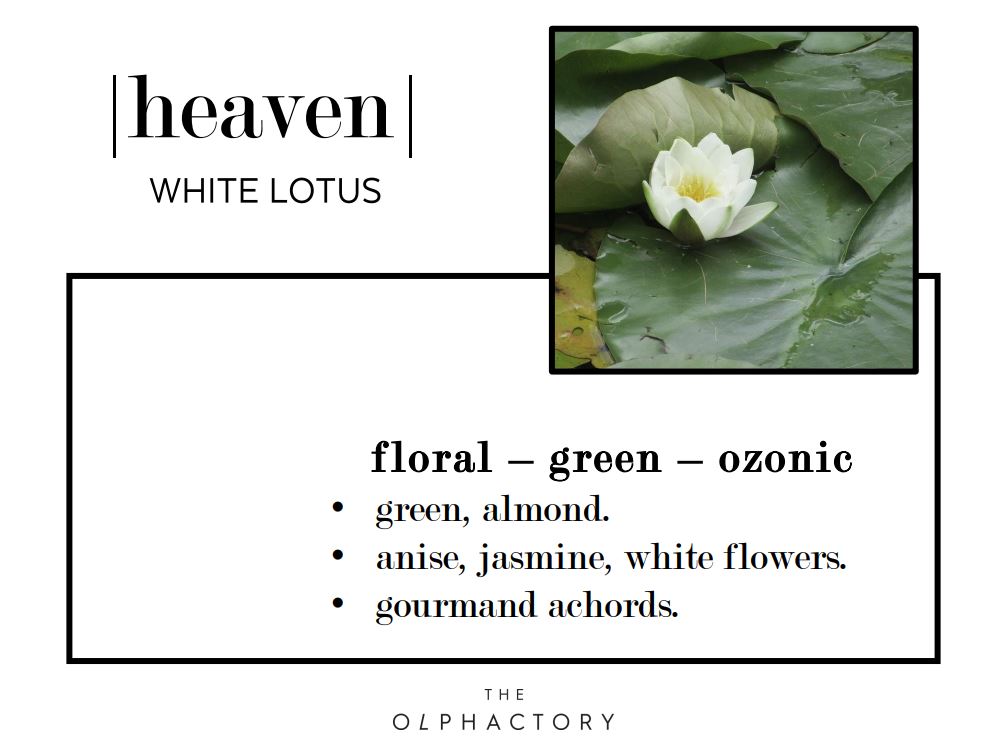 בושם לבית THE OLPHACTORY |Heaven| 500ml