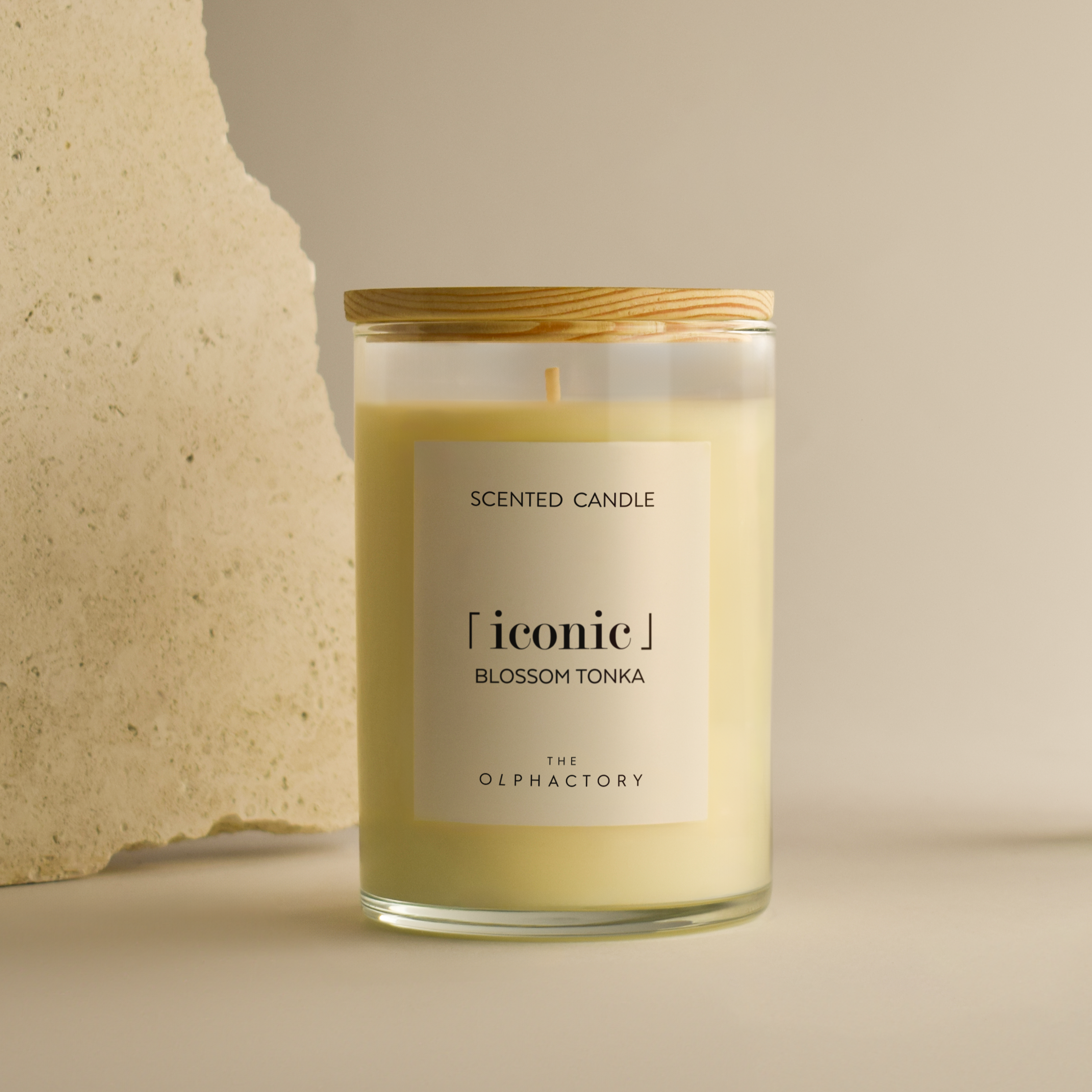 iconic candle 350 gr The Olphactory