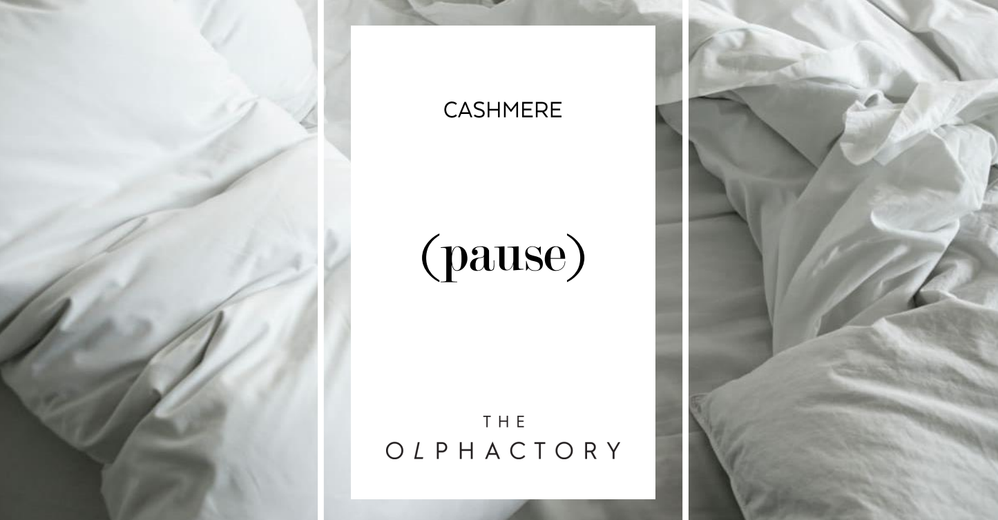 מבשם בדים THE OLPHACTORY (PAUSE) 500מיל