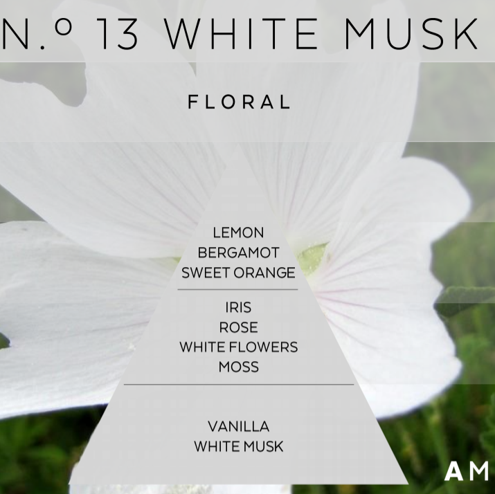 Relax_white_musk fragrance pyramid